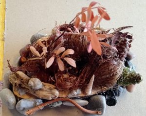 Kreativno izražavanje emocija kroz art terapijski proces u okviru Nature-Based Art Therapy (NBAT).