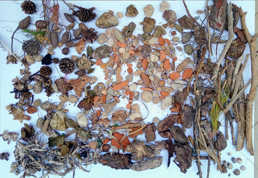 Prirodni materijali prikupljeni na plaži za potrebe art terapijskog rada u okviru Nature-Based Art Therapy (NBAT).